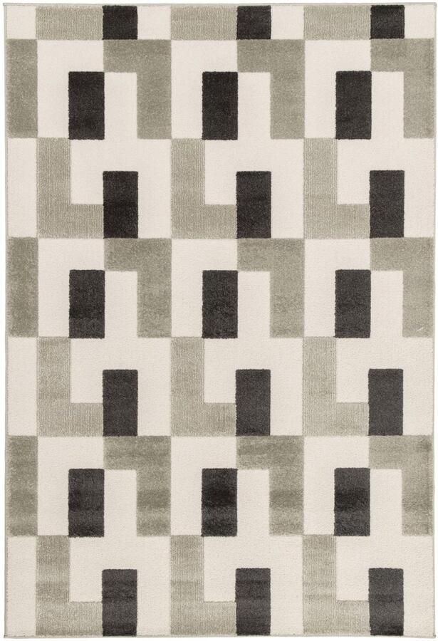 Amiah Modern vloerkleed Forme Murale antraciet 200x290 cm