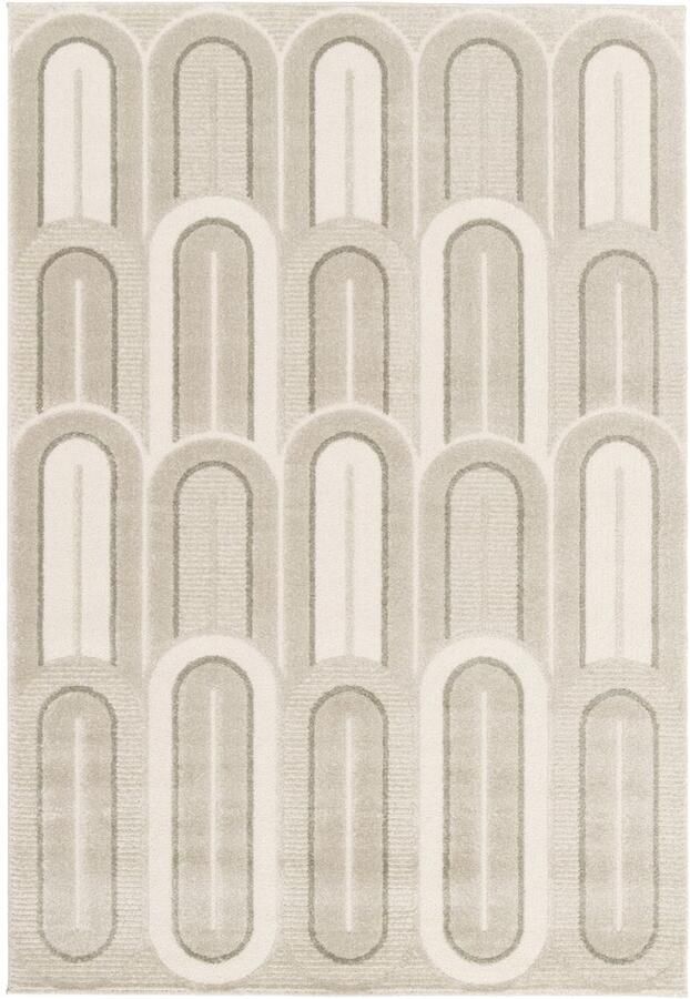 Paon Brillant Retro vloerkleed Forme Pavé taupe 200x290 cm
