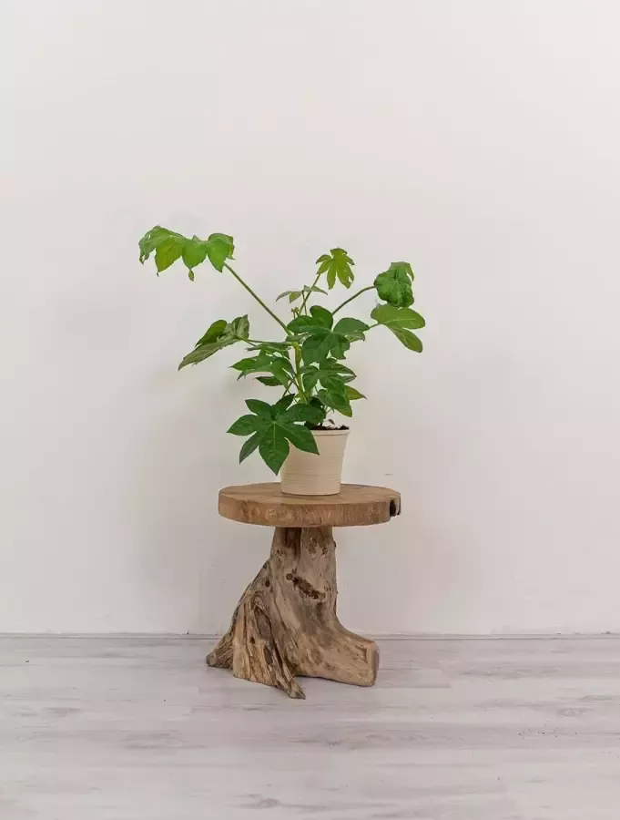 Ars Longa Boomstam krukje bijzettafeltje teak hout 40cm ongeschuurd