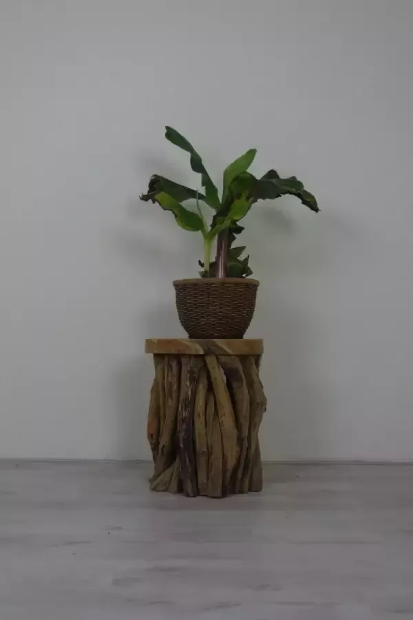 Ars Longa Robuuste boomstam bijzettafel hardhouten krukje takken natuurlijke planten bijzettafel teak