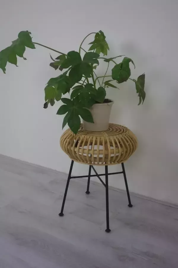 Ars Longa Rotan Krukje rieten bijzettafel bohemian plantenkrukje riet