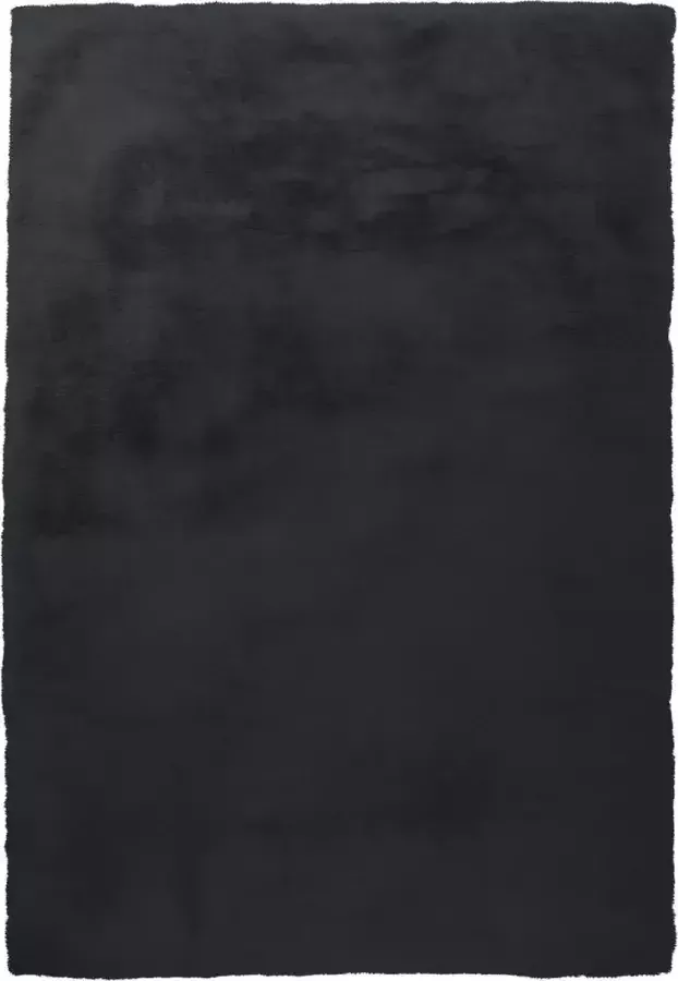 Arte Espina Tapijt Hoogpolig Vloerkleed Tapijten Woonkamer Hoogwaardig Micropolyester 80cm x 150cm Zwart