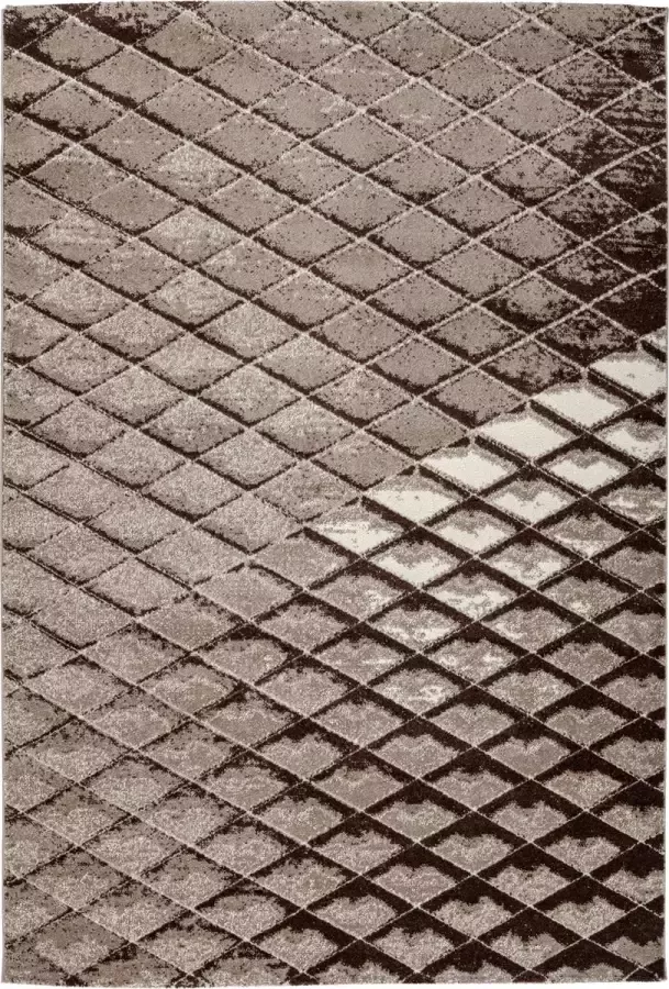 Arte Espina Vloerkleed broadway 800 bruin 160 x 230 cm