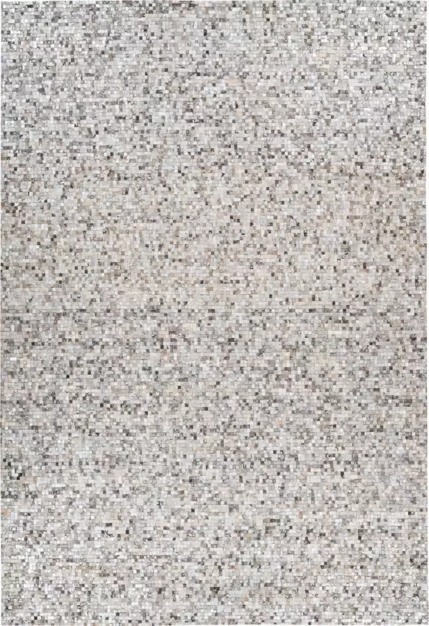 Arte Espina Vloerkleed finish 100 leer grijs zilver 120 x 170 cm