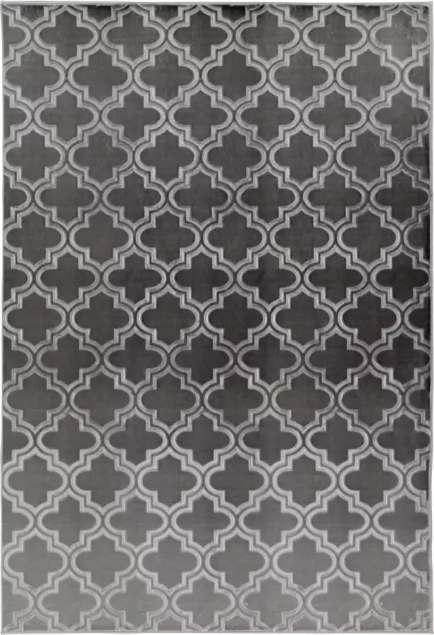 Arte Espina Vloerkleed monroe 100 antraciet 160 x 230 cm