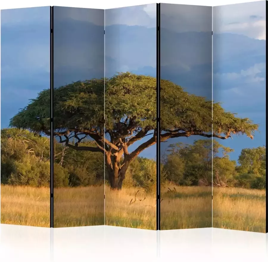 Artgeist Kamerscherm Scheidingswand Vouwscherm African acacia tree Hwange National Park Zimbabwe II [Room Dividers] 225x172 Vouwscherm