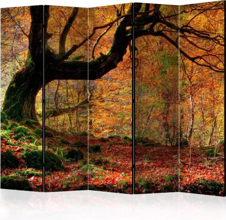 Artgeist Kamerscherm Scheidingswand Vouwscherm Autumn forest and leaves II [Room Dividers] 225x172 Vouwscherm