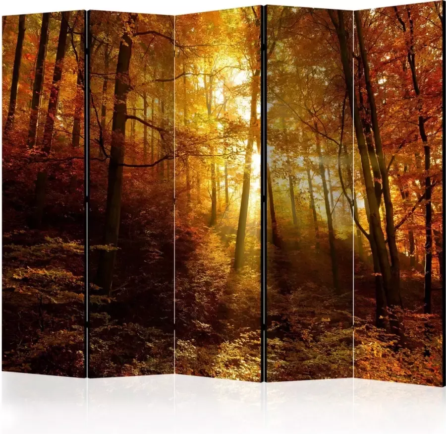 Artgeist Kamerscherm Scheidingswand Vouwscherm Autumn Illumination II [Room Dividers] 225x172 Vouwscherm