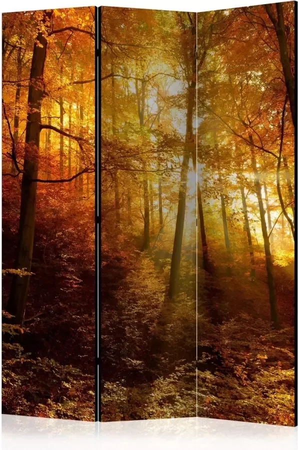Artgeist Kamerscherm Scheidingswand Vouwscherm Autumn Illumination [Room Dividers] 135x172 Vouwscherm