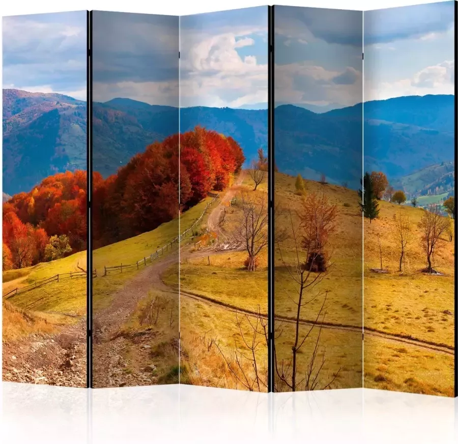 Artgeist Kamerscherm Scheidingswand Vouwscherm Autumn landscape in the Carpathian mountains II [Room Dividers] 225x172 Vouwscherm