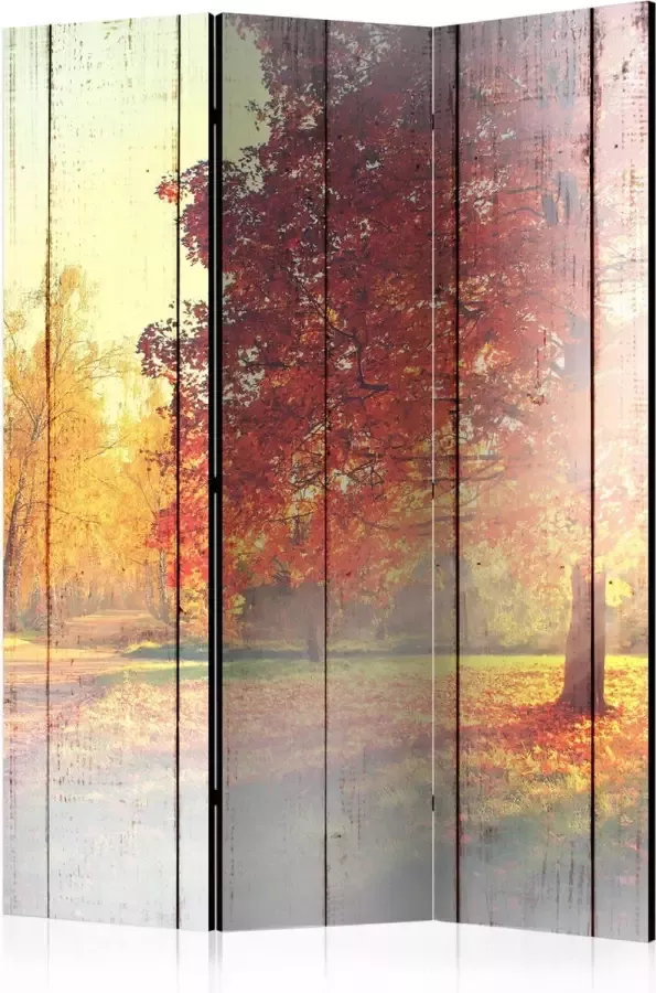 Artgeist Kamerscherm Scheidingswand Vouwscherm Autumn Sun [Room Dividers] 135x172 Vouwscherm