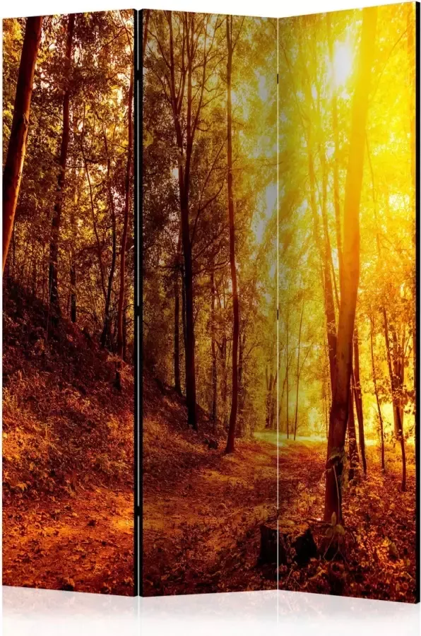 Artgeist Kamerscherm Scheidingswand Vouwscherm Autumn Walk [Room Dividers] 135x172 Vouwscherm