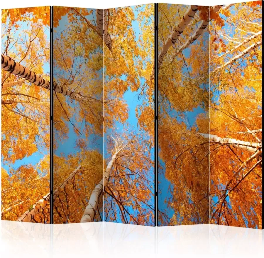 Artgeist Kamerscherm Scheidingswand Vouwscherm Autumnal treetops II [Room Dividers] 225x172 Vouwscherm