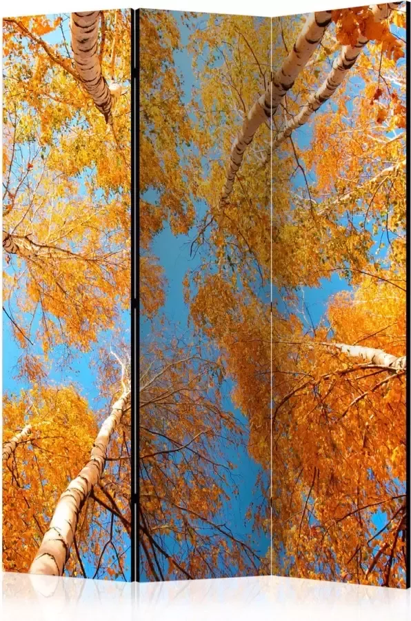 Artgeist Kamerscherm Scheidingswand Vouwscherm Autumnal treetops [Room Dividers] 135x172 Vouwscherm