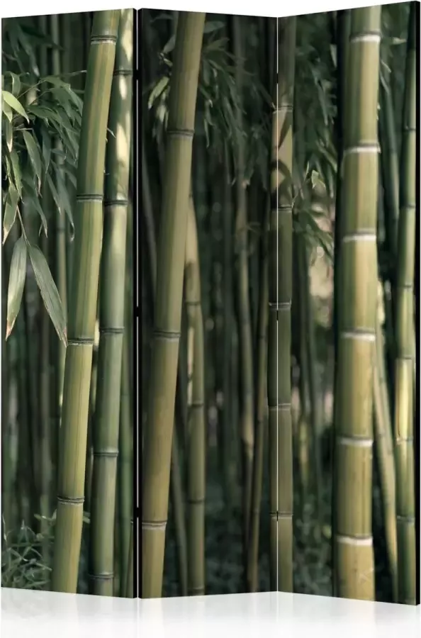 Artgeist Kamerscherm Scheidingswand Vouwscherm Bamboo Exotic [Room Dividers] 135x172 Vouwscherm
