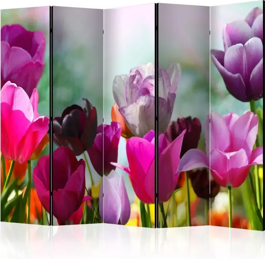 Artgeist Kamerscherm Scheidingswand Vouwscherm Beautiful Tulips II [Room Dividers] 225x172 Vouwscherm
