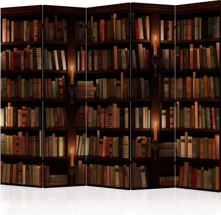 Artgeist Kamerscherm Scheidingswand Vouwscherm Bookshelves II [Room Dividers] 225x172 Vouwscherm