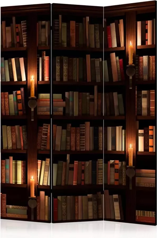 Artgeist Kamerscherm Scheidingswand Vouwscherm Bookshelves [Room Dividers] 135x172 Vouwscherm