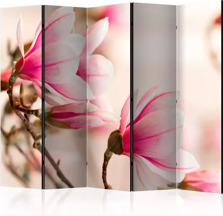 Artgeist Kamerscherm Scheidingswand Vouwscherm Branch of magnolia tree II [Room Dividers] 225x172 Vouwscherm