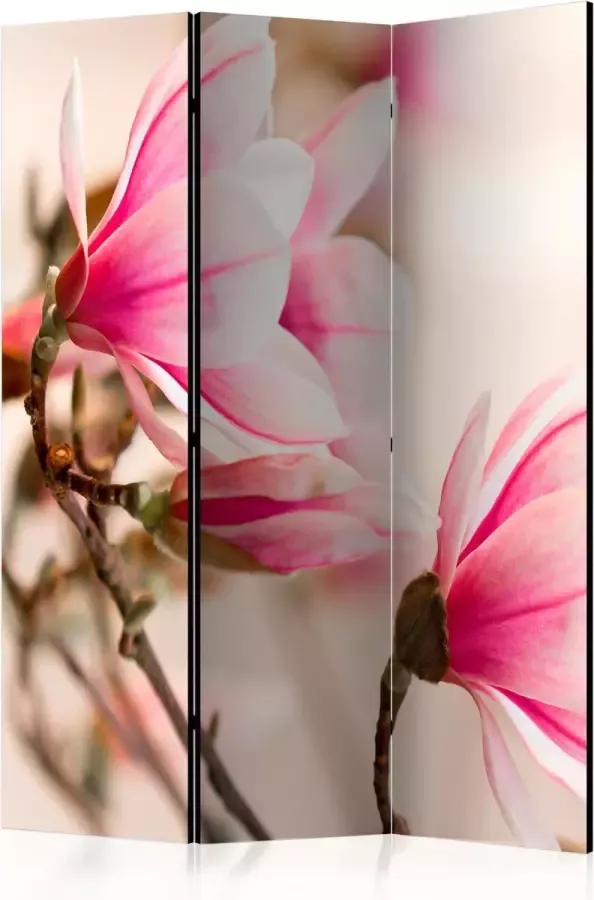 Artgeist Kamerscherm Scheidingswand Vouwscherm Branch of magnolia tree [Room Dividers] 135x172 Vouwscherm