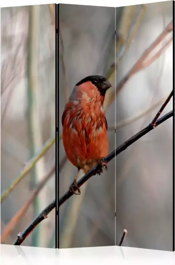 Artgeist Kamerscherm Scheidingswand Vouwscherm Bullfinch in the forest [Room Dividers] 135x172 Vouwscherm