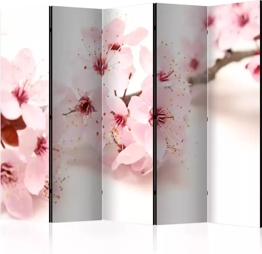 Artgeist Kamerscherm Scheidingswand Vouwscherm Cherry Blossom II [Room Dividers] 225x172 Vouwscherm