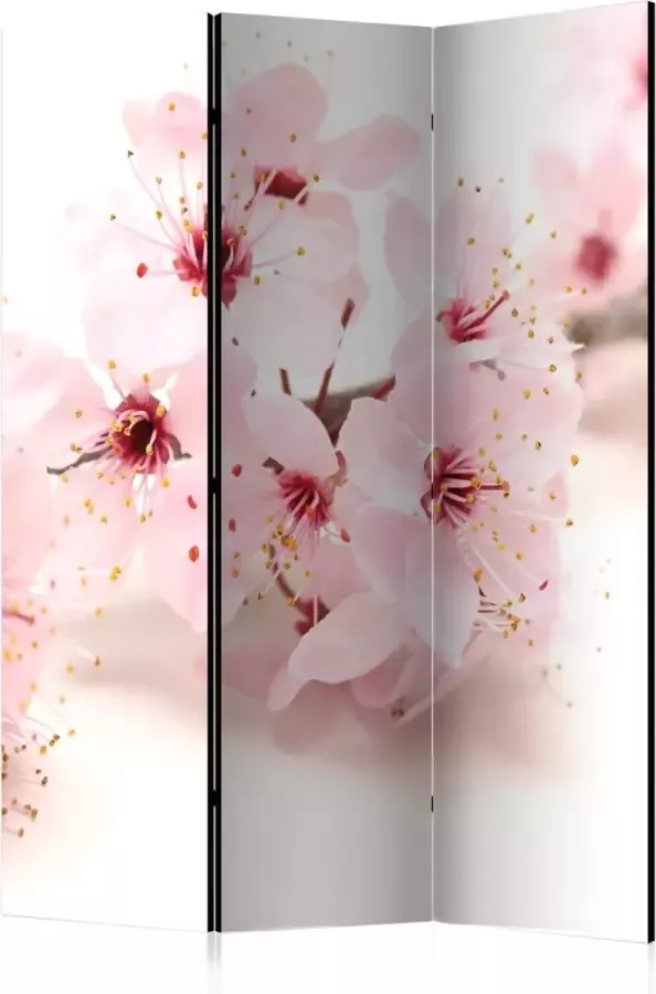 Artgeist Kamerscherm Scheidingswand Vouwscherm Cherry Blossom [Room Dividers] 135x172 Vouwscherm