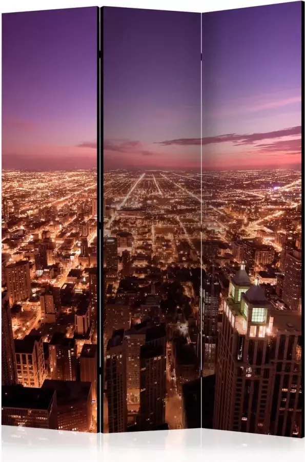 Artgeist Kamerscherm Scheidingswand Vouwscherm Chicago Panorama [Room Dividers] 135x172 Vouwscherm