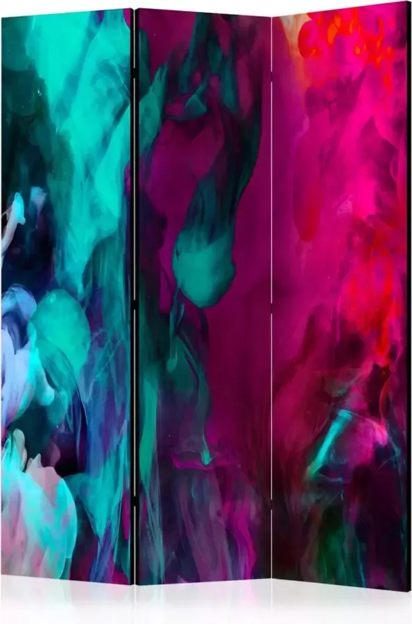 Artgeist Kamerscherm Scheidingswand Vouwscherm Color madness [Room Dividers] 135x172 Vouwscherm