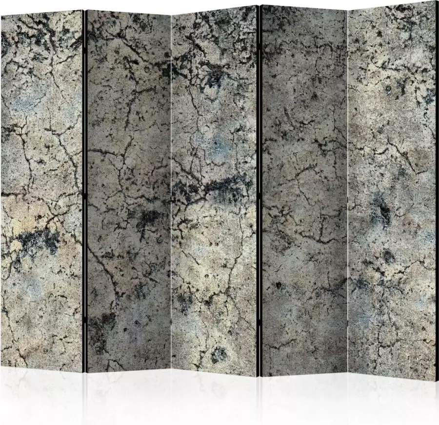 Artgeist Kamerscherm Scheidingswand Vouwscherm Cracked Stone II [Room Dividers] 225x172 Vouwscherm