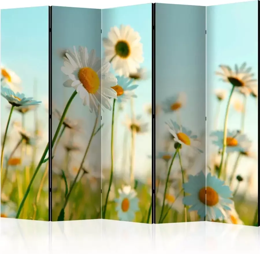 Artgeist Kamerscherm Scheidingswand Vouwscherm Daisies spring meadow II [Room Dividers] 225x172 Vouwscherm