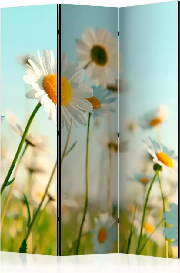 Artgeist Kamerscherm Scheidingswand Vouwscherm Daisies spring meadow [Room Dividers] 135x172 Vouwscherm