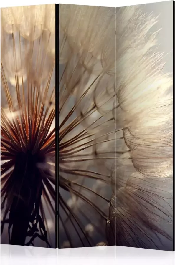 Artgeist Kamerscherm Scheidingswand Vouwscherm Dandelion Kiss [Room Dividers] 135x172 Vouwscherm