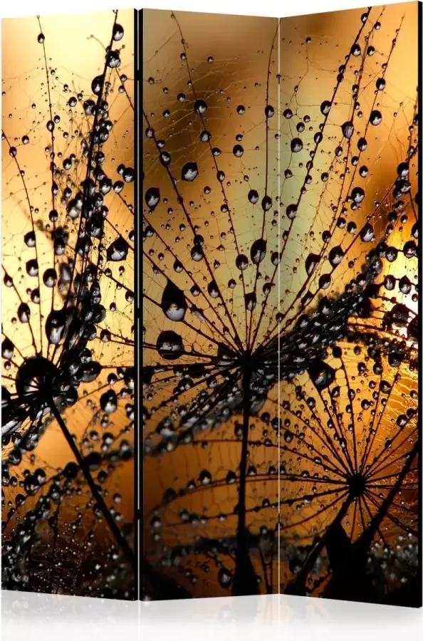 Artgeist Kamerscherm Scheidingswand Vouwscherm Dandelions in the Rain [Room Dividers] 135x172 Vouwscherm
