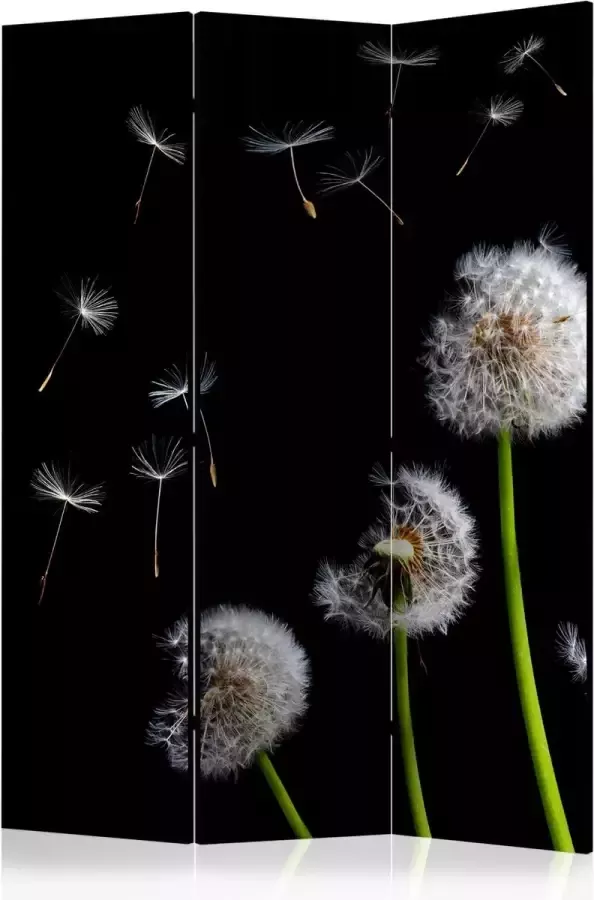 Artgeist Kamerscherm Scheidingswand Vouwscherm Dandelions in the wind [Room Dividers] 135x172 Vouwscherm