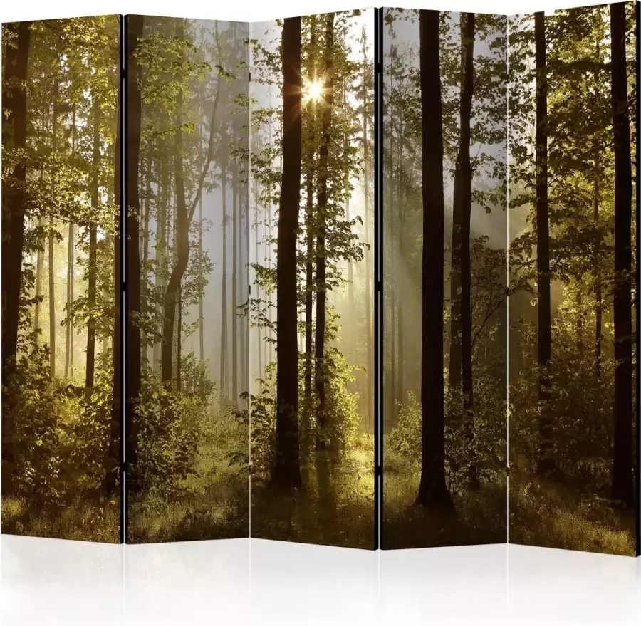 Artgeist Kamerscherm Scheidingswand Vouwscherm Forest: Morning Sunlight II [Room Dividers] 225x172 Vouwscherm