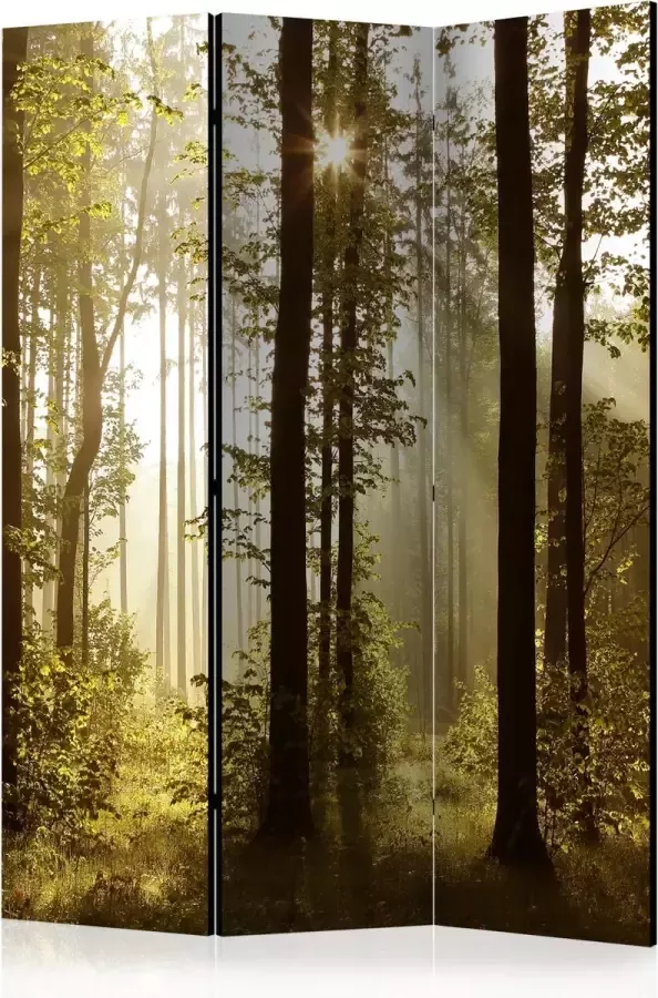 Artgeist Kamerscherm Scheidingswand Vouwscherm Forest: Morning Sunlight [Room Dividers] 135x172 Vouwscherm