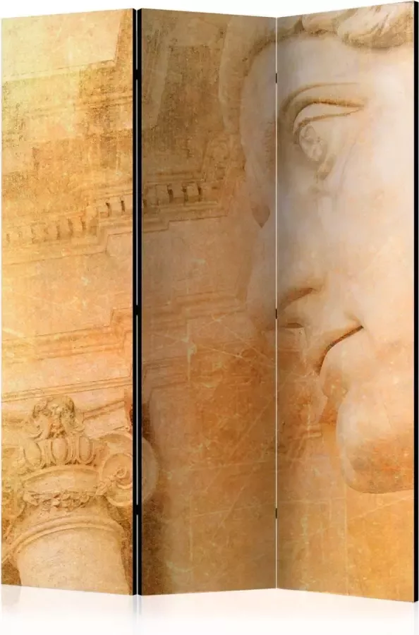 Artgeist Kamerscherm Scheidingswand Vouwscherm Greek God [Room Dividers] 135x172 Vouwscherm