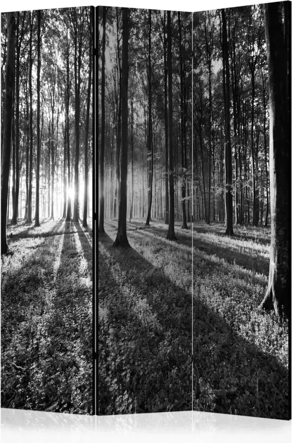 Artgeist Kamerscherm Scheidingswand Vouwscherm Grey Wilderness [Room Dividers] 135x172 Vouwscherm