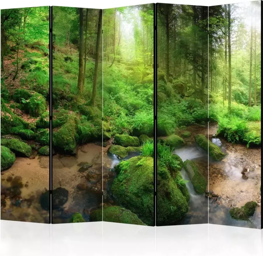 Artgeist Kamerscherm Scheidingswand Vouwscherm Humid Forest II [Room Dividers] 225x172 Vouwscherm