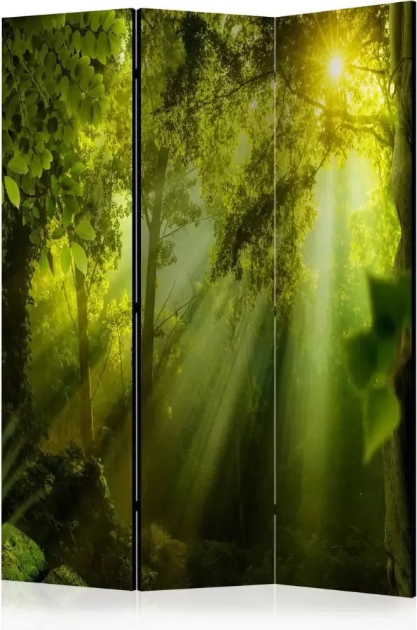 Artgeist Kamerscherm Scheidingswand Vouwscherm In a Secret Forest II [Room Dividers] 135x172 Vouwscherm