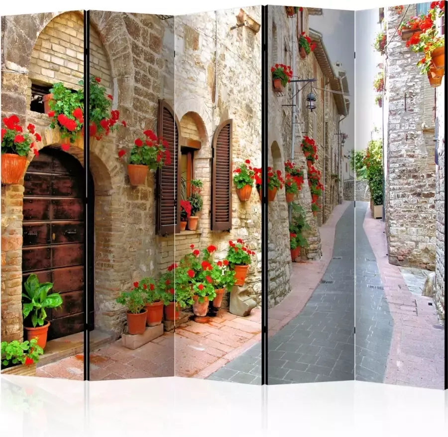 Artgeist Kamerscherm Scheidingswand Vouwscherm Italian province II [Room Dividers] 225x172 Vouwscherm