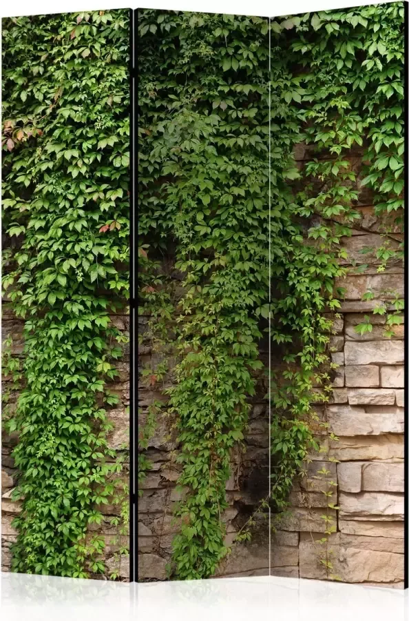 Artgeist Kamerscherm Scheidingswand Vouwscherm Ivy wall [Room Dividers] 135x172 Vouwscherm