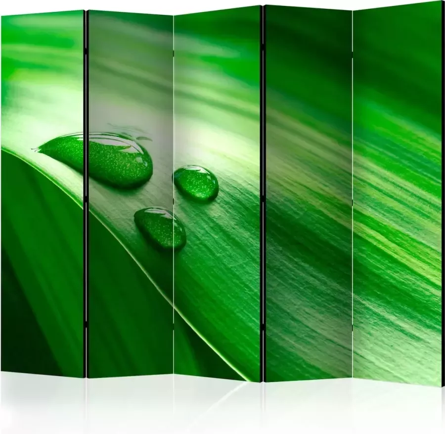 Artgeist Kamerscherm Scheidingswand Vouwscherm Leaf and three drops of water II [Room Dividers] 225x172 Vouwscherm