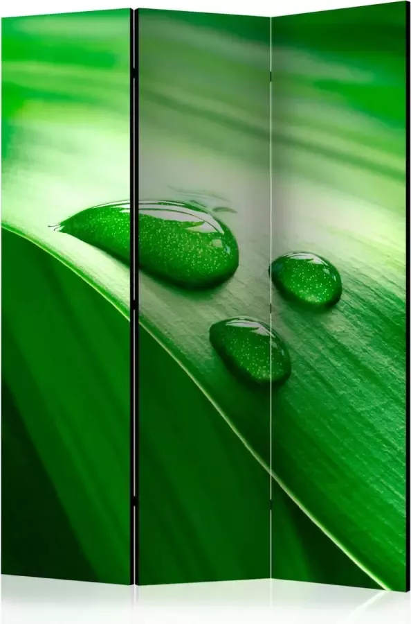 Artgeist Kamerscherm Scheidingswand Vouwscherm Leaf and three drops of water [Room Dividers] 135x172 Vouwscherm