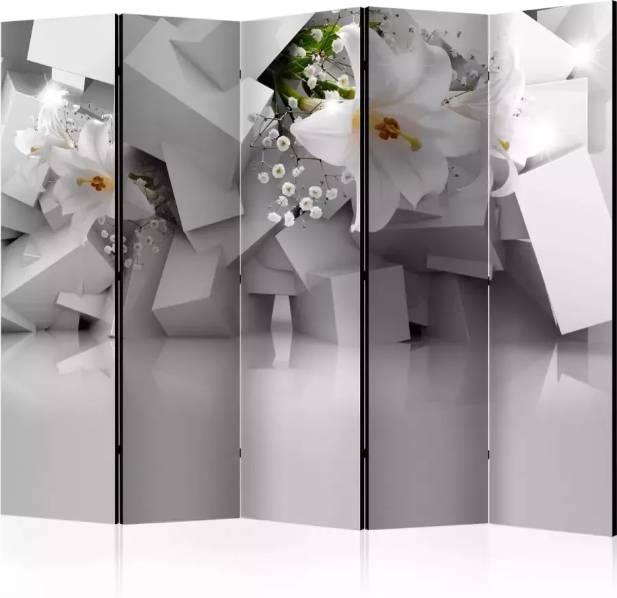 Artgeist Kamerscherm Scheidingswand Vouwscherm Lost in Chaos II [Room Dividers] 225x172 Vouwscherm