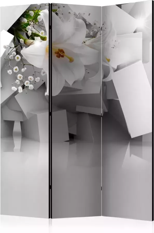 Artgeist Kamerscherm Scheidingswand Vouwscherm Lost in Chaos [Room Dividers] 135x172 Vouwscherm