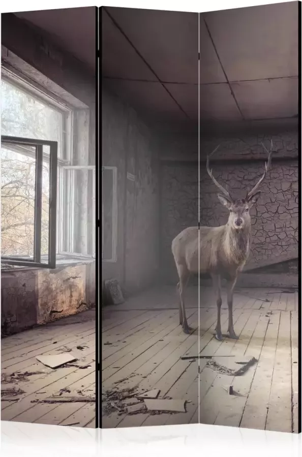 Artgeist Kamerscherm Scheidingswand Vouwscherm Lost [Room Dividers] 135x172 Vouwscherm