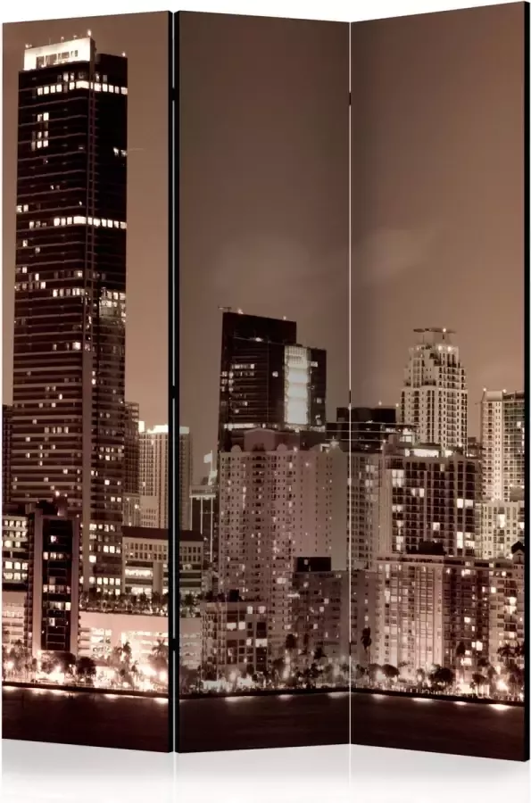Artgeist Kamerscherm Scheidingswand Vouwscherm Night life in Miami [Room Dividers] 135x172 Vouwscherm