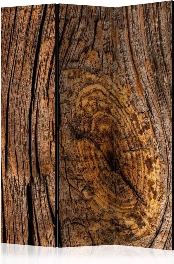 Artgeist Kamerscherm Scheidingswand Vouwscherm Old Tree [Room Dividers] 135x172 Vouwscherm